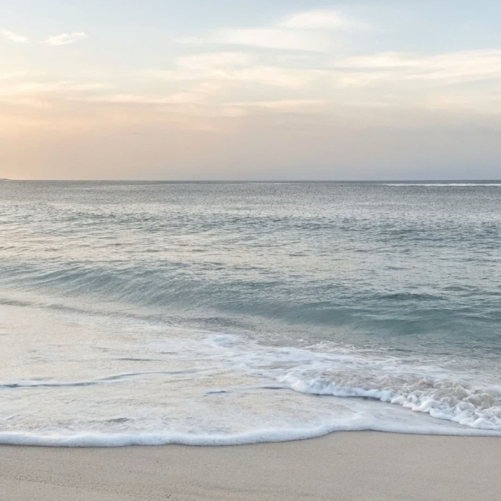 Meet your Posher, Emmy